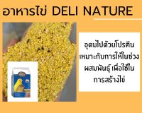 อาหารไข่ อาหารนก โปรตีนสูง DELI-NATURE สูตรนกฟินซ์ นกคิริบูน ยี่ห้อ BEYERS ****? พร้อมส่ง ?