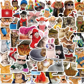 50PCS Cat MEME Funny Animals Stickers Vintage Toy DIY Kids Notebook Luggage  Motorcycle Laptop Refrigerator Decals Graffiti