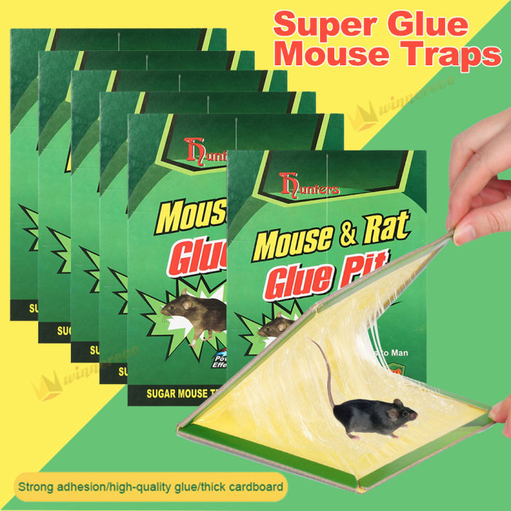 10 Pcs Super Sticky Boards Glue Traps Pest Trap Catch Spiders