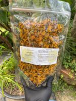 ดอกเก๊กฮวยป่าอบแห้ง สวนลุงเค 100g. ในถุงซิปล็อกขนาด A4 ก้นตั้ง 100% Dehydrated Wild Chrysanthemum Flower