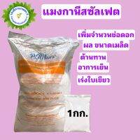 แมงกานีสซัลเฟต 32%  Manganese Sulfate Monohydrate สังเคาระห์แสง บำรุงใบ บรรจุ 1 กิโลกรัม