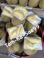 ? ทุเรียน หมอนทอง ลับแล ? (Monthong Durian) [1 ลูก] น้ำหนัก 1.6 โล - 2 โล (ไซส์มินิ) นุ่ม หอม หวาน มัน อร่อย ของ อ.ลับแล จ.อุตรดิตถ์ ??#ทุเรียน #หมอนทอง #ลับแล #Durian *อ่านรายละเอียดด้วยน่ะครับคุณลูกค้า??