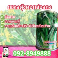 เมล็ดพันธุ์กวางตุ้งดอกฮ่องกง ตราภูเขา 50กรัม(ส่งฟรี)