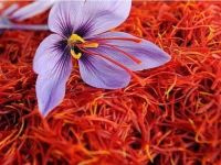 หญ้าฝรั่น หญ้าฝรั่นแห้ง เครื่องเทศ ใช้ทำขนม หรือชาชงดื่ม saffron ซาฟรอน บรรจุ 1 กรัม