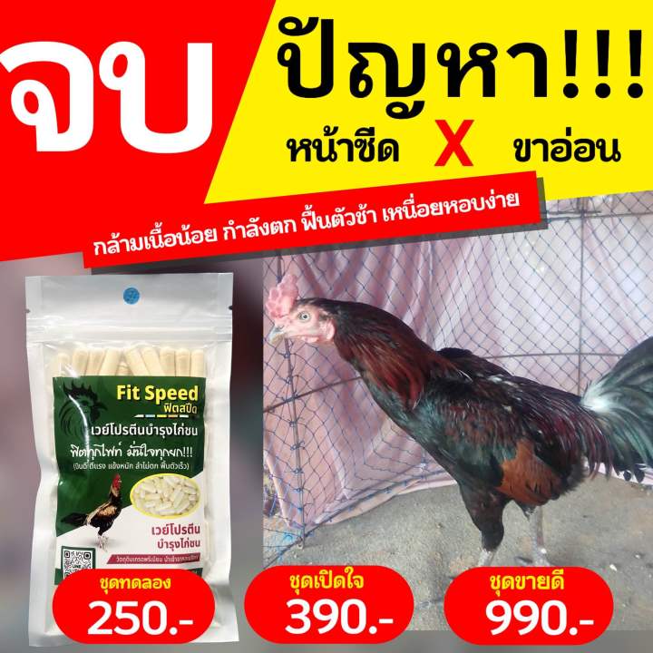 ฟิตสปีดเวย์โปรตีนบำรุงไก่ชน