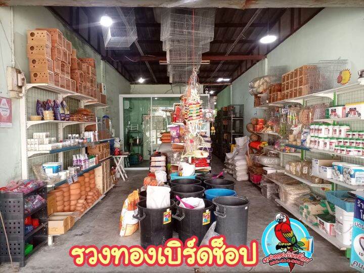 ของเล่นนก-คอนลับเล็บ-คอนยืนนก-คอนฝึกนก