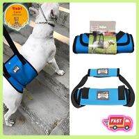 ? อุปกรณ์พยุงเดิน Dog Support harness สำหรับสัตว์ที่มีปัญหาการทรงตัว สุนัขแก่ ขาอ่อนแรง สองขาหลังพิการ ช่วยเบาแรงในการพยุง ✅ พร้อมส่ง