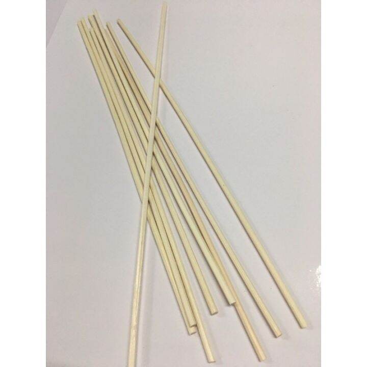 10pcs Rattan Reed Sticks Lazada PH