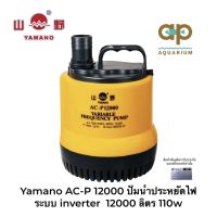 AC-P 12000 ปั๊มน้ำแรงดันสูง ไดโว่ แบบประหยัดไฟ