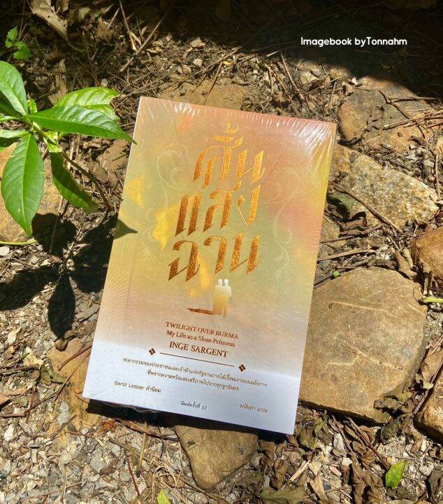 รวมกัน 96+ ภาพพื้นหลัง สิ้นแสงฉาน ภาพยนตร์ อัปเดต รวมกัน 96+ ภาพพื้นหลัง สิ้นแสงฉาน ภาพยนตร์ อัปเดต