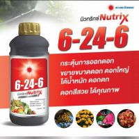 ปุ๋ยน้ำนิวทริกซ์ 6-24-6 กระตุ้นและส่งเสริมการออกดอก ช่วยบำรุงดอก(ขนาด1ลิตร)