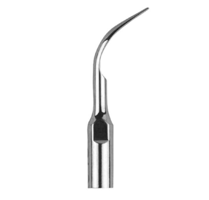 Dental Scaler Tip Lazada PH