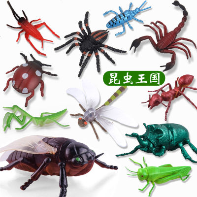 ของเล่นแมลงสำหรับเด็กโมเดลสัตว์จำลองพลาสติกชุดเครื่องประดับขนาดใหญ่สำหรับแมงมุมผีเสื้อผึ้งตะขาบมด