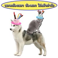 PS-056 หมวกหมา แมว สุนัข หมวกวันเกิดสัตว์เลี้ยง หมวกแฮปปี้เบิร์ด Happy Birthday