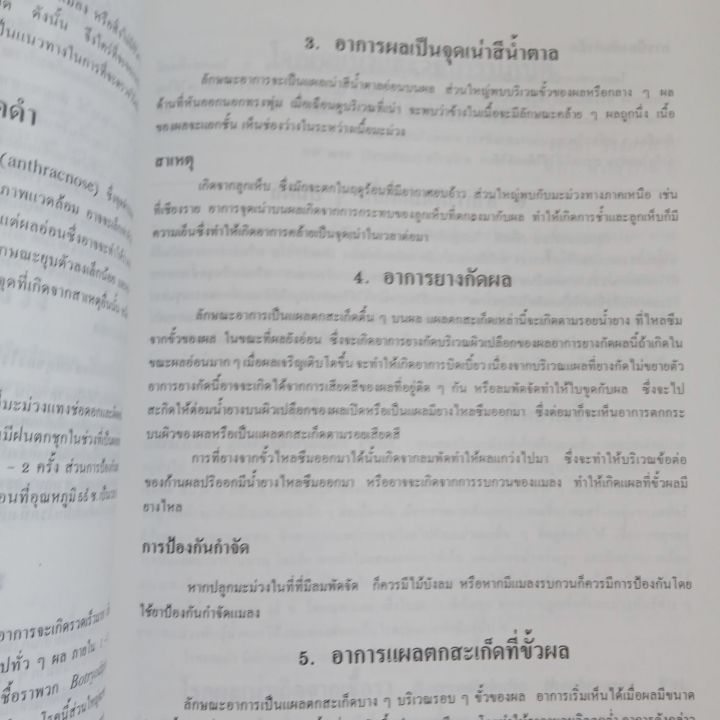 มะม่วง-เอกสารวิชาการที่-1-สถาบันวิจัยพืชสวน-กรมวิชาการเกษตร-กระทรวงเกษตรและสหกรณ์-92-หน้า-มีคราบเหลืองบ้าง