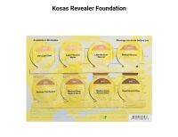 เทสเตอร์ Kosas Revealer Skin-Improving Foundation SPF 25 with Hyaluronic Acid and Niacinamide tester 8 สี