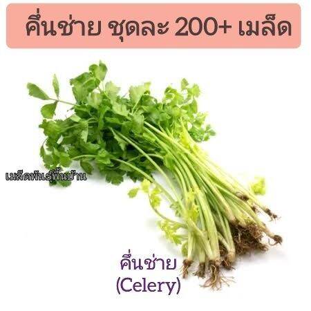 เมล็ดพันธุ์คึ่นช่ายชุดละ 200+ เมล็ด