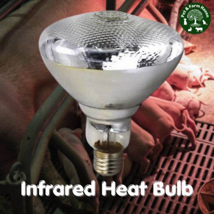 Infrared Heat Lamp for Livestock 100W for Pigs Poultry Chicken Goats