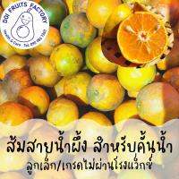 ส้มสายน้ำผึ้ง สำหรับคั้นน้ำ/ผิวลาย/ลูกเล็ก/เกรดไม่ผ่านโรงแว๊กซ์