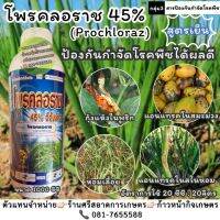 ?โพรคลอราช? สูตรเย็น? ป้องการและกำจัดโรคพืชเช่น โรคแอนแทรคโนส, โรคกุ้งแห้งในพริก, โรคหอมเลื้อย