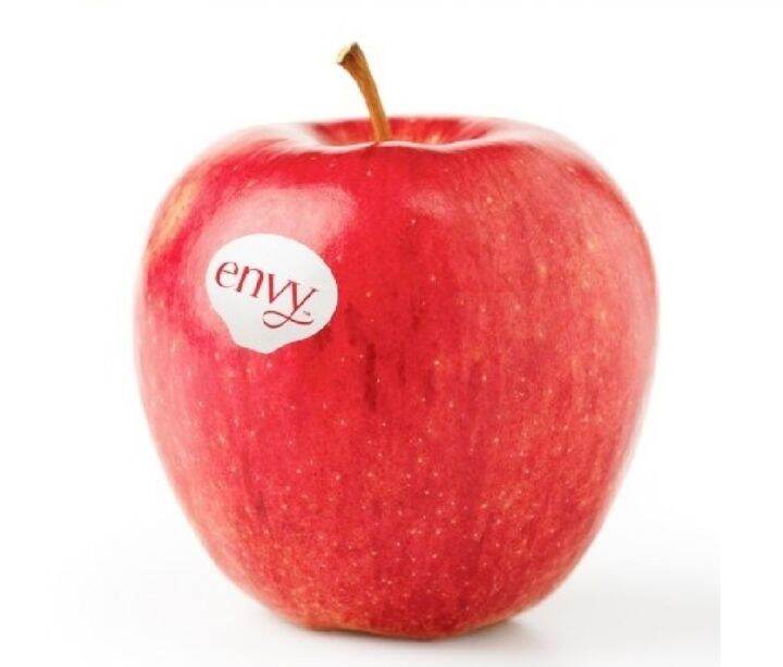 New Zealand Envy Apple XL (1pc/2pcs) Fresh Red Apple Epal Merah XL 红苹果