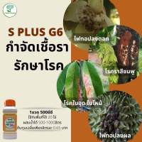 splusG6 เอสพลัวจี6 ฟื้นฟูต้นโทรม ป้องกันเชื้อรารากเน่า โคนเน่า ใบไหม้ ใบติด เชื้อราทุเรียน