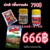 promotion6:6:66
