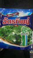 เมล็ดผักชี ฉัตรทิพย์ ขนาด 300กรัมผักชีกอใหญ่ ต้นสวย โตไว #ฉัตรทิพย์ รากดี ใบมันวาว