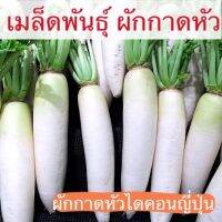 เมล็ดพันธุ์ หัวไชเท้าเมล็ดพันธุ์ ผักกาดหัว ไดคอนญี่ปุ่น (Japanese Minowase Daikon Radish Seed) บรรจุ 200 เมล็ดพันธุ์แท้ นำเข้าจากต่างประเทศ ไดคอน โตไวโปรโมชั่น3แถมฟรี1