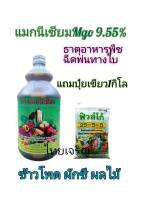 ปุ๋ยน้ำฉีดพ่นทางใบธาตุอาหารพืช แมกนีเซียม9.55%แถมปุ๋ยเขียว1กิโล ช่วยการเข้าสี สีสด สีสวย ขวด1ลิตร