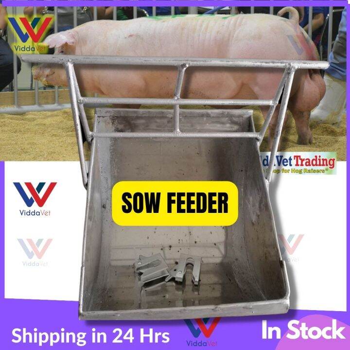 Stainless pig sow feeder galvanized pig feeder sow pig feeds feeder pig