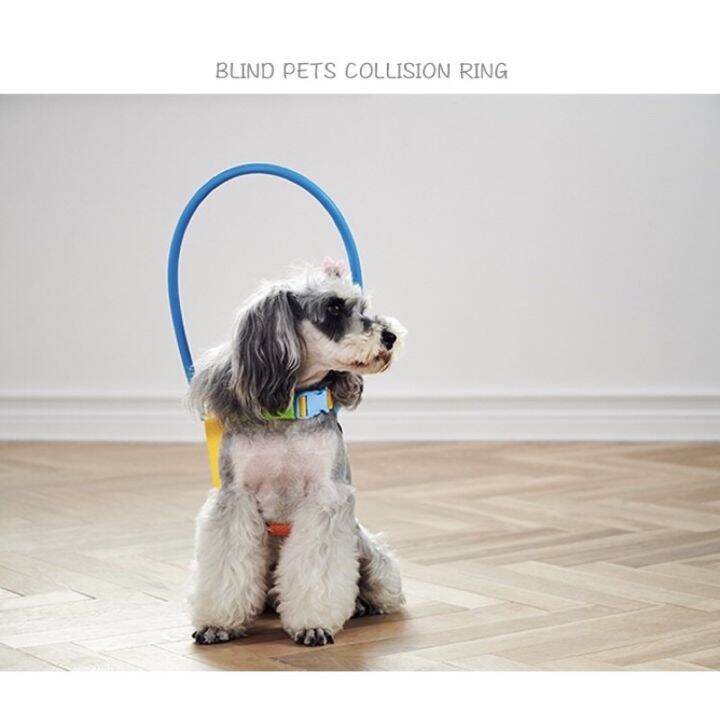 ห่วงกันชน สำหรับ สุนัขตาบอด (Blind Dog Halo) [พร้อมส่ง] Lazada.co.th