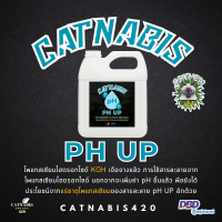 pH UP น้ำยาเพิ่มค่า pH เข้มข้น แบบแกลลอน คุ้ม!!! Concentrated buffering solution (base) for pH stability - Chemrich