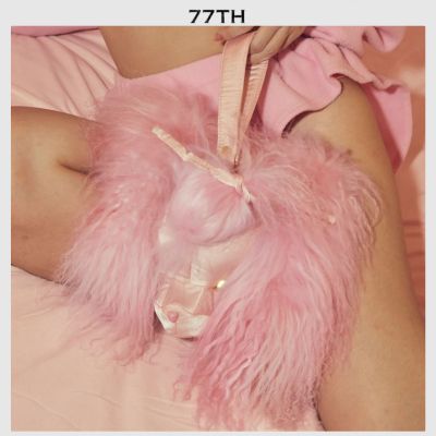 77th Pink poodle shape hand bag