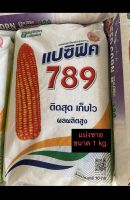 เมล็ดพันธุ์ข้าวโพดแปซิฟิค 789 (3.5 หุน) แบ่งขาย ขนาด 1 กิโลกรัม