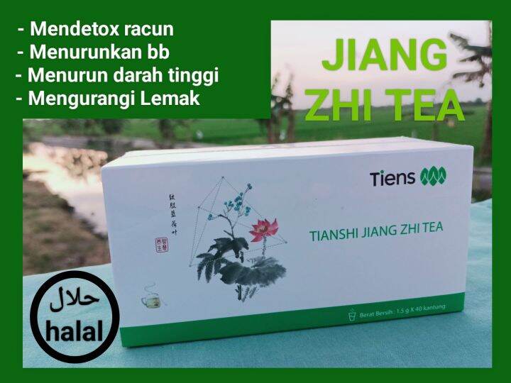 Tianshi Jiang Zhi Tea Lazada Indonesia