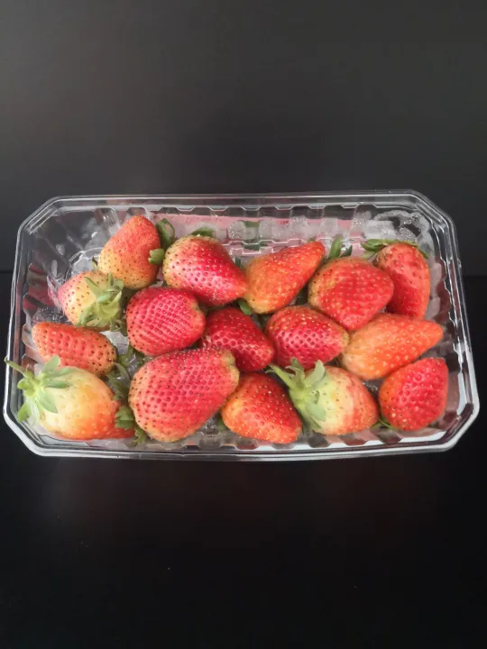 Egypt Strawberry 250g Lazada