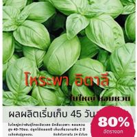 เมล็ดโหระพา อิตาลีบราซิล โหระพา (ซื้อ 10 แถม 1 คละอย่างได้)