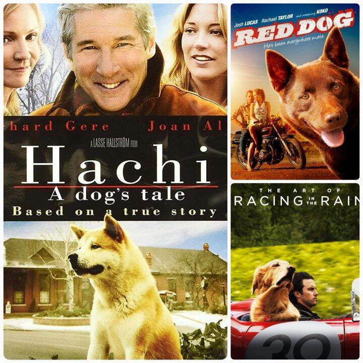 dvd-หนังมิตรภาพคน-สุนัข-hachi-the-art-of-racing-in-the-rain-red-dog-มัดรวม-3-เรื่องประทับใจ-หนังน้องหมา-แพ็คสุดคุ้ม