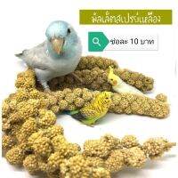 มิลเล็ตสเปรย์เหลือง​ 1ช่อ​ ตามรูป อาหารสำหรับหนูแฮมเตอร์สัตว์เลี้ยง