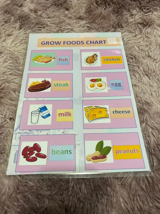 food-group-chart-for-kids-lazada-ph