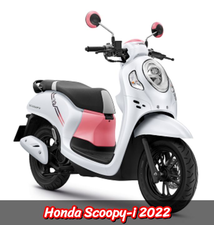 แท้-ยางรองโซ่-บน-ล่าง-scoopy-i-led-สกูปปี้ไอ-ปี-2021-2023-ยางรองโซ่-สะพานโซ่-14510-k0j-n00-14611-k0j-n00