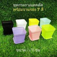 ชุดกระถางแคคตัสพร้อมจานรอง 7 สี(ชุด7 ชิ้น)