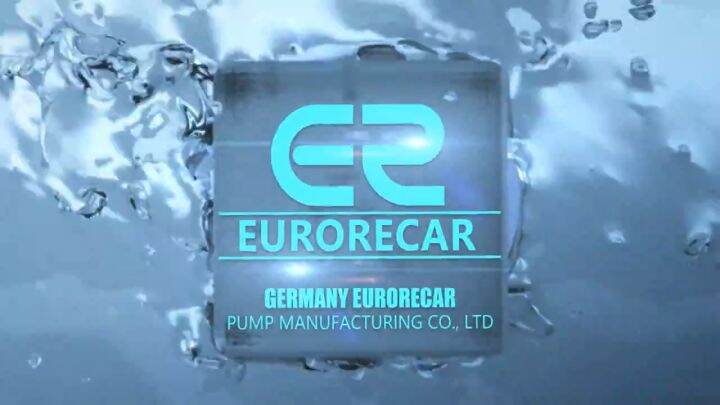 EURORECAR 220V 60Hz 2'' Submersible Pump 0.5/1HP Single-Phase Stainless ...