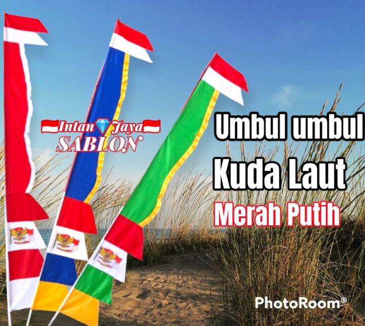 Umbul Umbul Kuda Laut Rempel Bendera Warna Warni Isi Pcs Lazada Indonesia