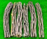 Cholla wood แกนกระบองเพชร คอลล่าวู้ด สินค้าจากอเมริกา 1 ชิ้น ขนาดความยาว 5นิ้ว เส้นผ่านศูนย์กลาง 2.0-2.5 เซ็นติเมตร คัดเกรดลายสวย