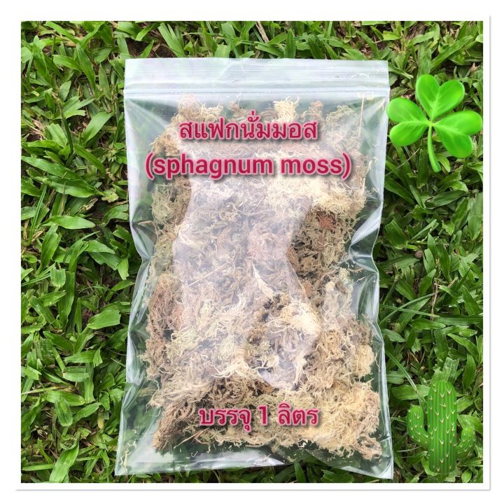 สแฟกนั่มมอส-sphagnum-moss-แบ่งขาย-เกรดพิเศษ-เนื้อสวย