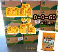 ? ปุ๋ยเกล็ด 0-0-60 ชาลีเฟรท โพแทสเซียมคลอไรด์ ขนาดบรรจุ 20 กิโลกรัม เร่งผล เร่งหัว