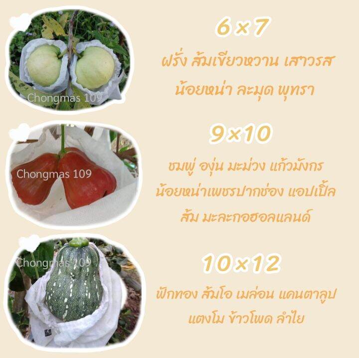 ถุงห่อผลไม้-12-13-นิ้ว-100-ใบ-450-บาท-ใช้ห่อลำไย-เมล่อน-แคนตาลูป-แตงโม-ส้มโอ-ใช้ห่อกันเพลี้ย-แมลง-แสงแดดไม่ต้องห่อกระดาษทับ-ใช้ซ้ำได้-ไม่มีไอน้ำเกาะในถุงระบายน้ำได้-มีเชือกรูดที่ปาก-มียางดำล็อก