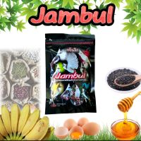 อาหารนกจัมบูล Jambul "สูตรขยันริก" (ซองดำ)